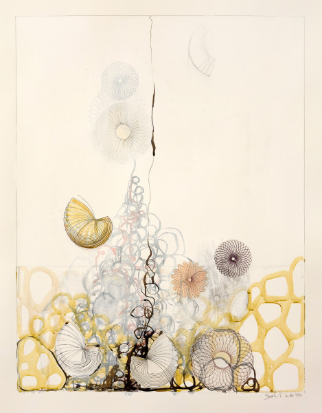 Works on paper by artist Sarah Lutz