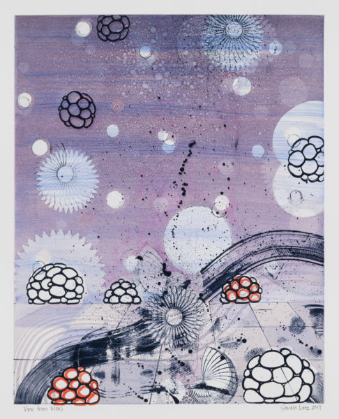 View from Marz Series by artist Sarah Lutz