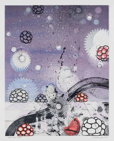 View from Marz Series by artist Sarah Lutz