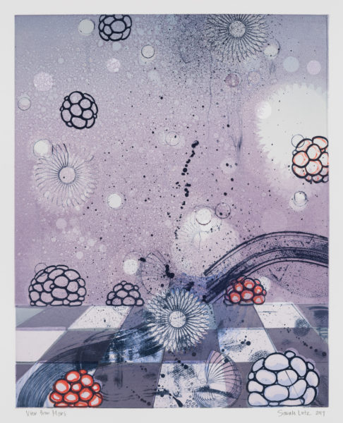 View from Marz Series by artist Sarah Lutz