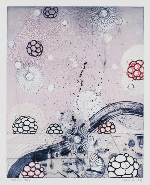 View from Marz Series by artist Sarah Lutz