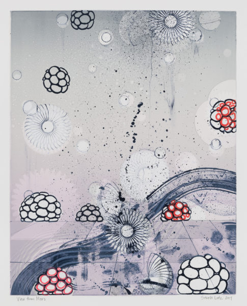 View from Marz Series by artist Sarah Lutz