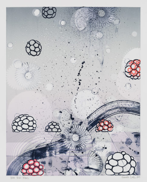 View from Marz Series by artist Sarah Lutz