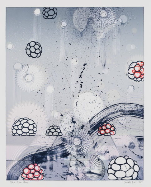View from Marz Series by artist Sarah Lutz