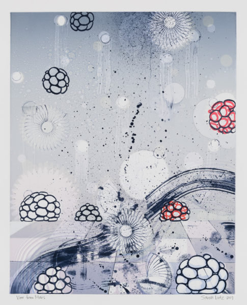 View from Marz Series by artist Sarah Lutz