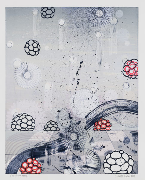 View from Marz Series by artist Sarah Lutz