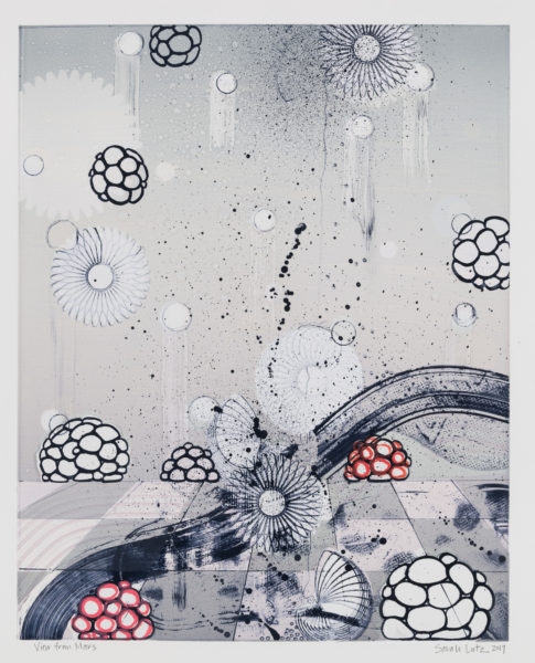View from Marz Series by artist Sarah Lutz