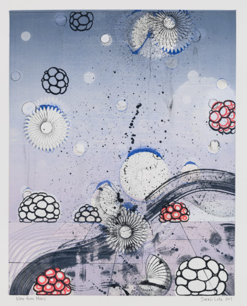 View from Marz Series by artist Sarah Lutz