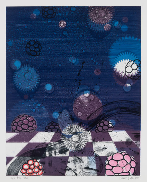 View from Marz Series by artist Sarah Lutz