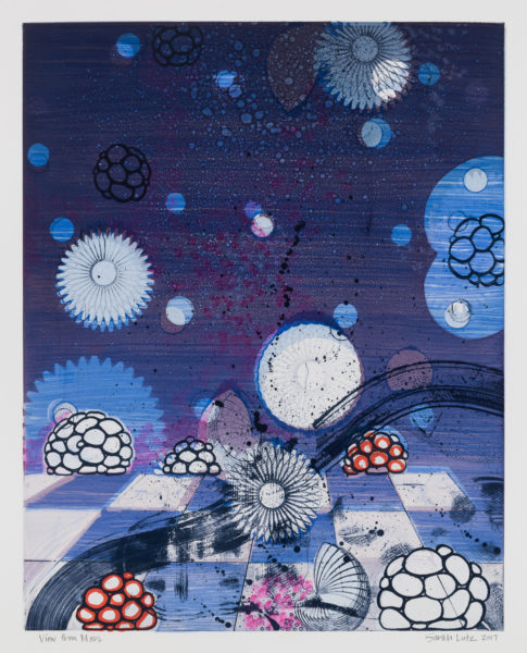 View from Marz Series by artist Sarah Lutz