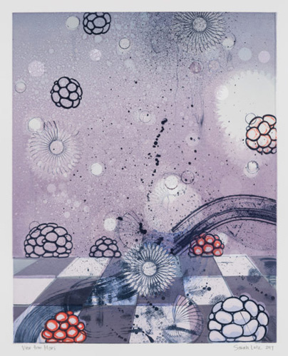 View From Mars Series, prints by artist Sarah Lutz, New York