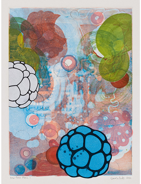 View from Mars - work by artist Sarah Lutz, New York