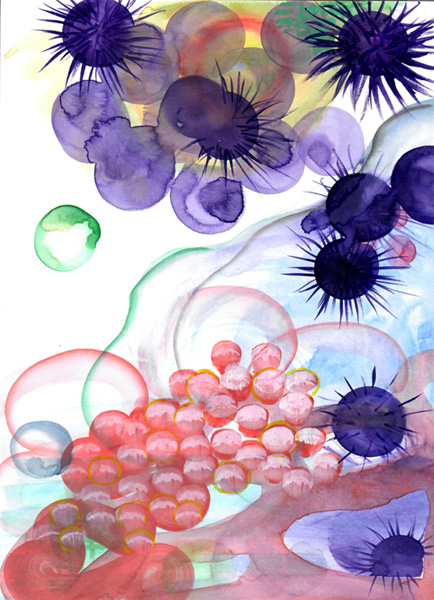 Urchins - work by artist Sarah Lutz, New York