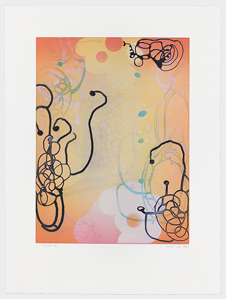 Thicket series - prints by artist, Sarah Lutz