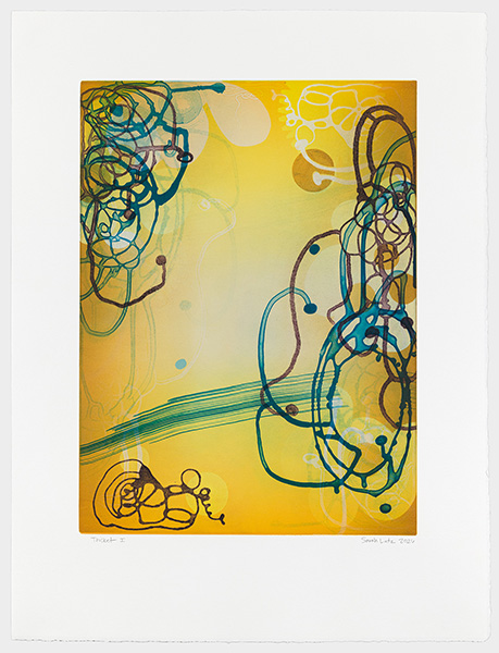 Thicket series - prints by artist, Sarah Lutz